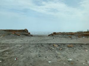 Why Seawall Repair is a Job for the Pros