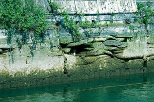 Do You Need Seawall Restoration Services?