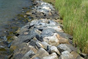 Why Seawall Erosion Repair is Important