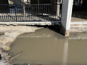 Water Management